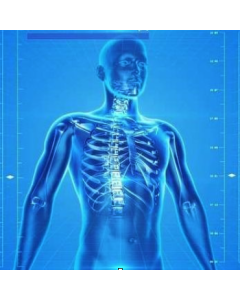 GCSE Biology >>> from &pound;45/ month for 6 months >>>