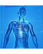 GCSE Biology >>> from £45/ month for 6 months >>>